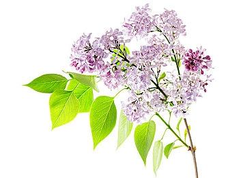 《痛苦地狱》未分级版将作为免费DLC推出